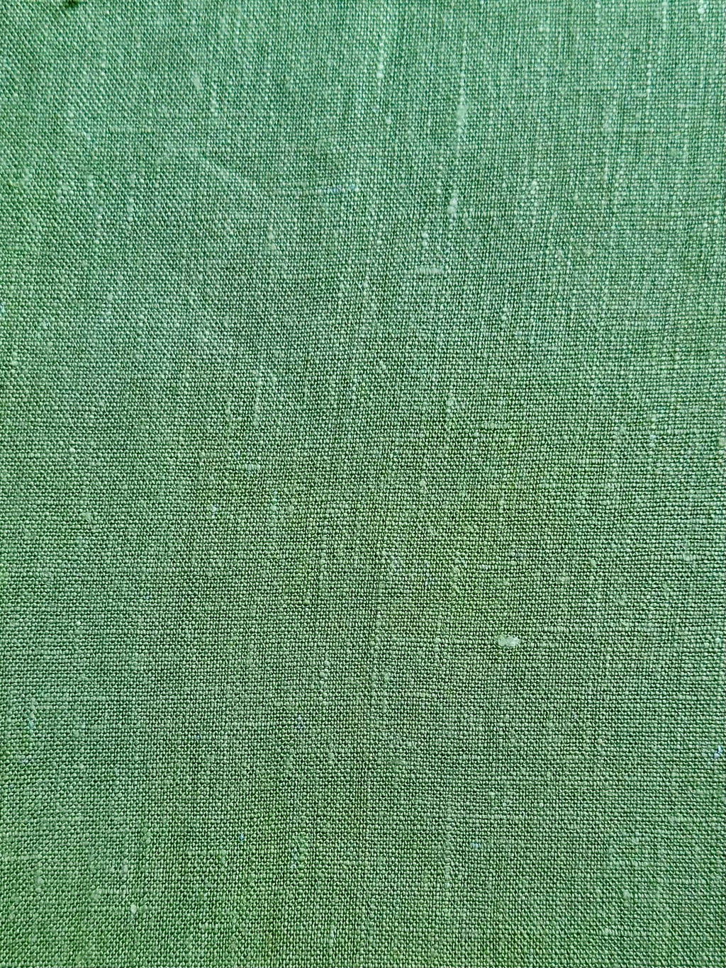 DAMA - Fern / Softened