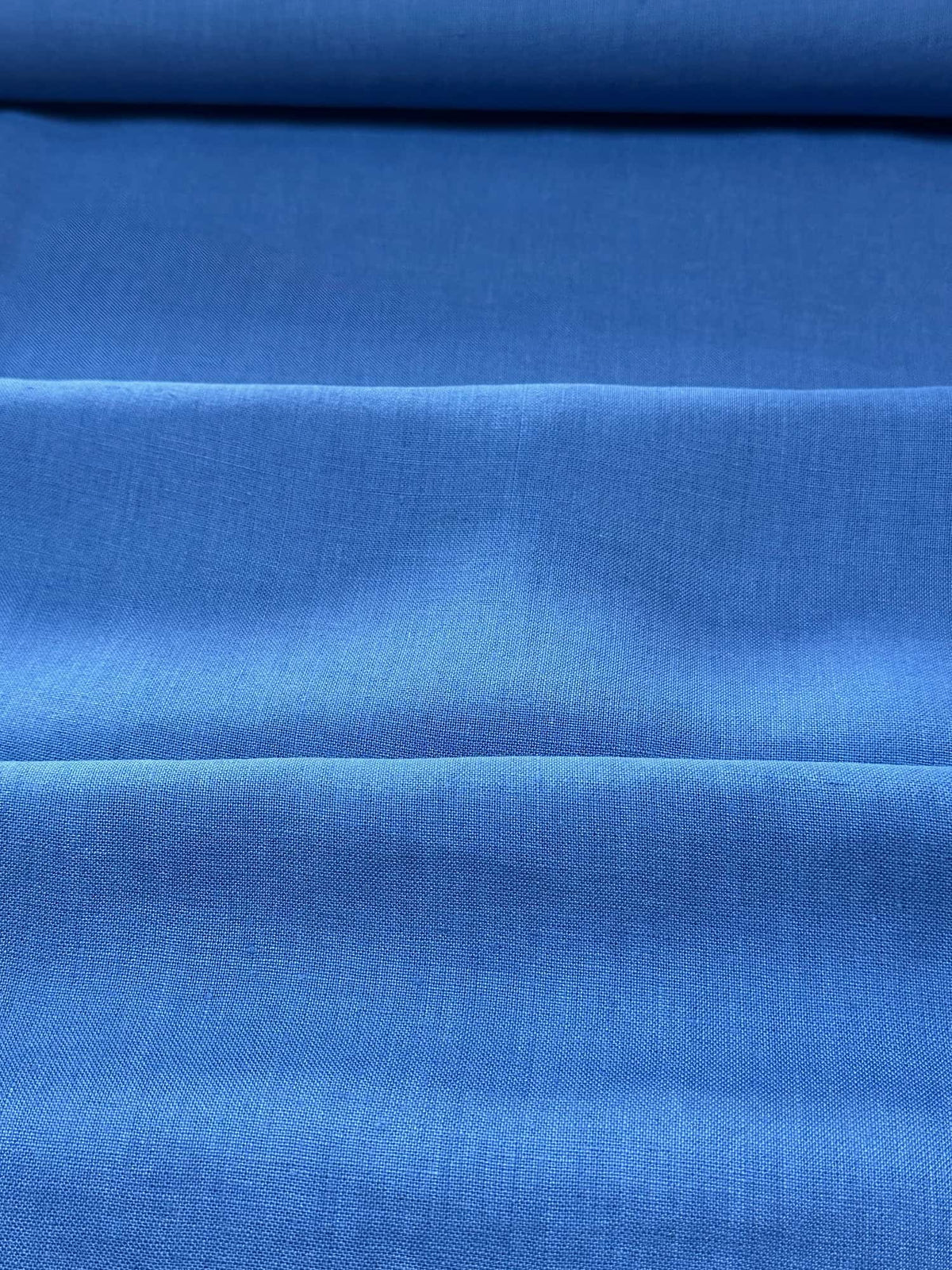 ALDER - Cornflower Blue
