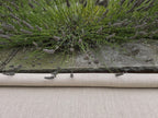Terra hemp fabric roll by slate wall with lavender plants