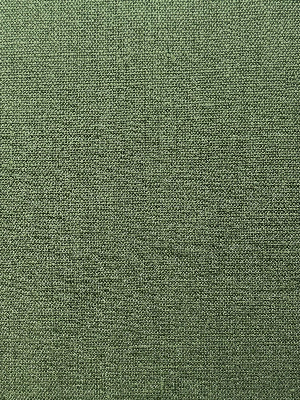 TOR - Fern