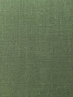 TOR - Fern