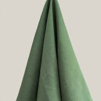 TOR - Fern